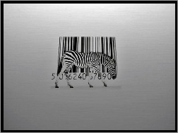 Kreskowy, Zebra, Kod